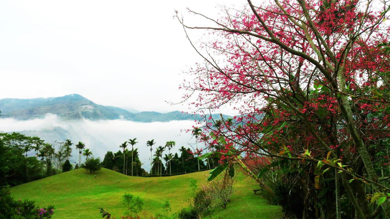 Foggy Wonderland Villa Zhushan Buitenkant foto